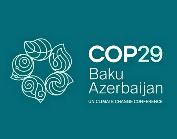 COP29 лого